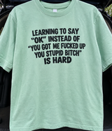 Learning To Say “OK” Instead Of “You Got Me Fucked Up” Is Hard T-Shirt