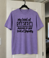 My Sarcasm Matches Your Stupidity T-Shirt