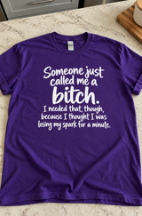 Someone Called Me A Bitch I’m Glad My Spark’s Still Alive T-Shirt