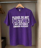 Please Do Not Disturb I'm Disturbed Enough Already T-Shirt
