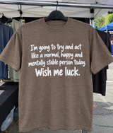Trying to Act Normal Happy and Stable Today Wish Me Luck T-Shirt