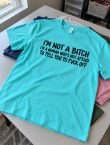 I'm Not A Bitch I'm A Woman Who Isn't Afraid To Tell You To Fuck Off T-Shirt
