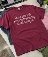 I'm at a Point Where Errands Count as Going Out T-Shirt